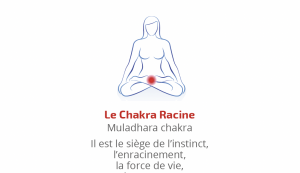 C'est quoi le chakra Racine - premier chakra - Muladhara chakra - Ancrage
